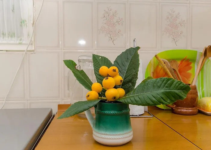 Anka أوروبيتش